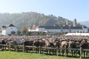 140923Einsiedeln 010